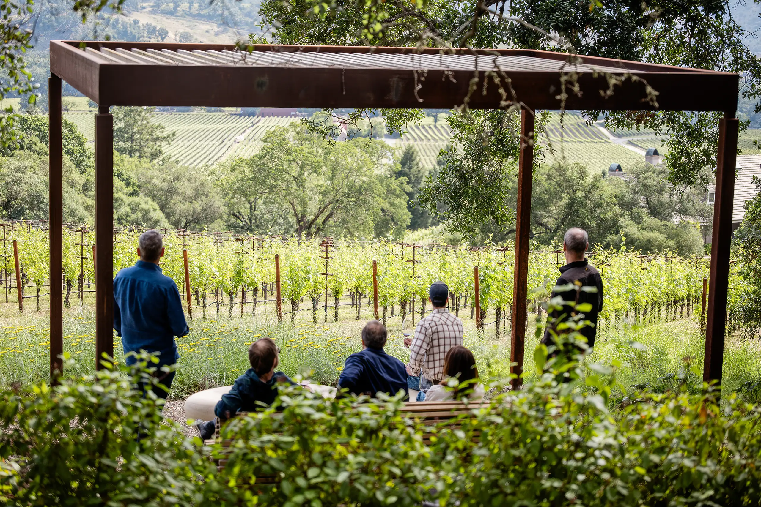 Five people sitting and standing under a metal pergola looking out over a vineyard.