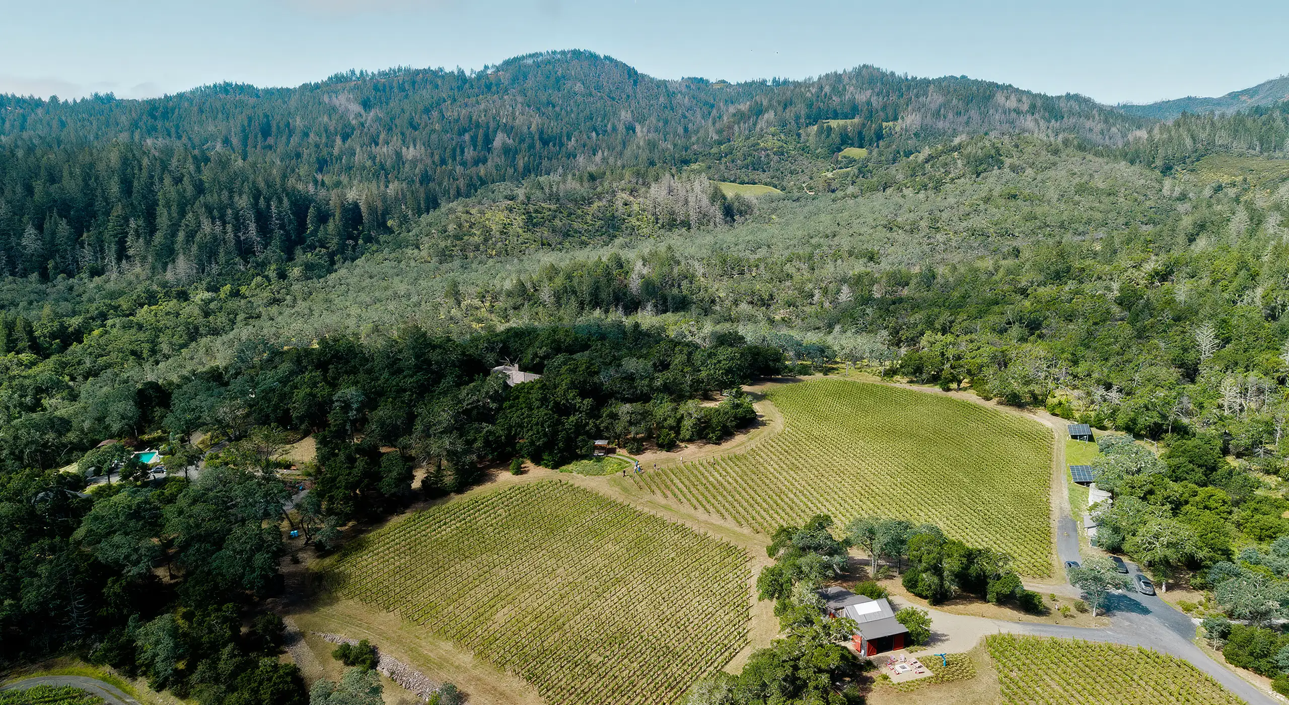 Aerial view of a vineyard nestled in a valley surrounded by forested hills.